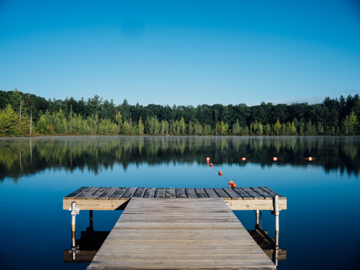 Wooden dock stretching out over a calm lake surrounded by pine trees